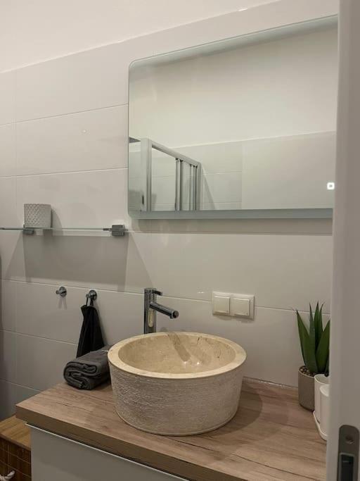 New Design Wohnung-Wien エクステリア 写真