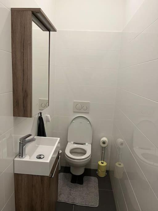 New Design Wohnung-Wien エクステリア 写真